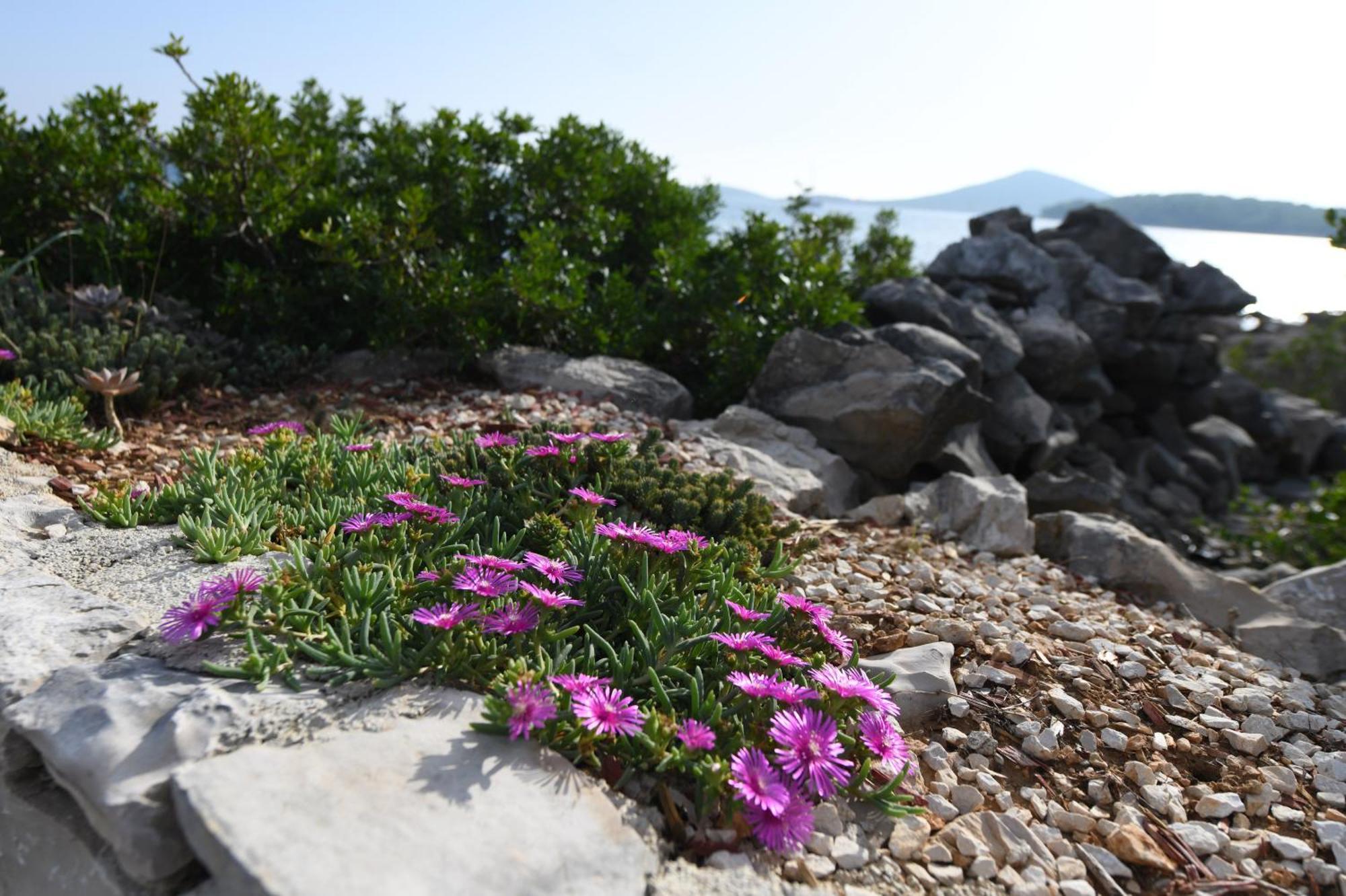 Beach House Marina Grande Betina  Exterior photo